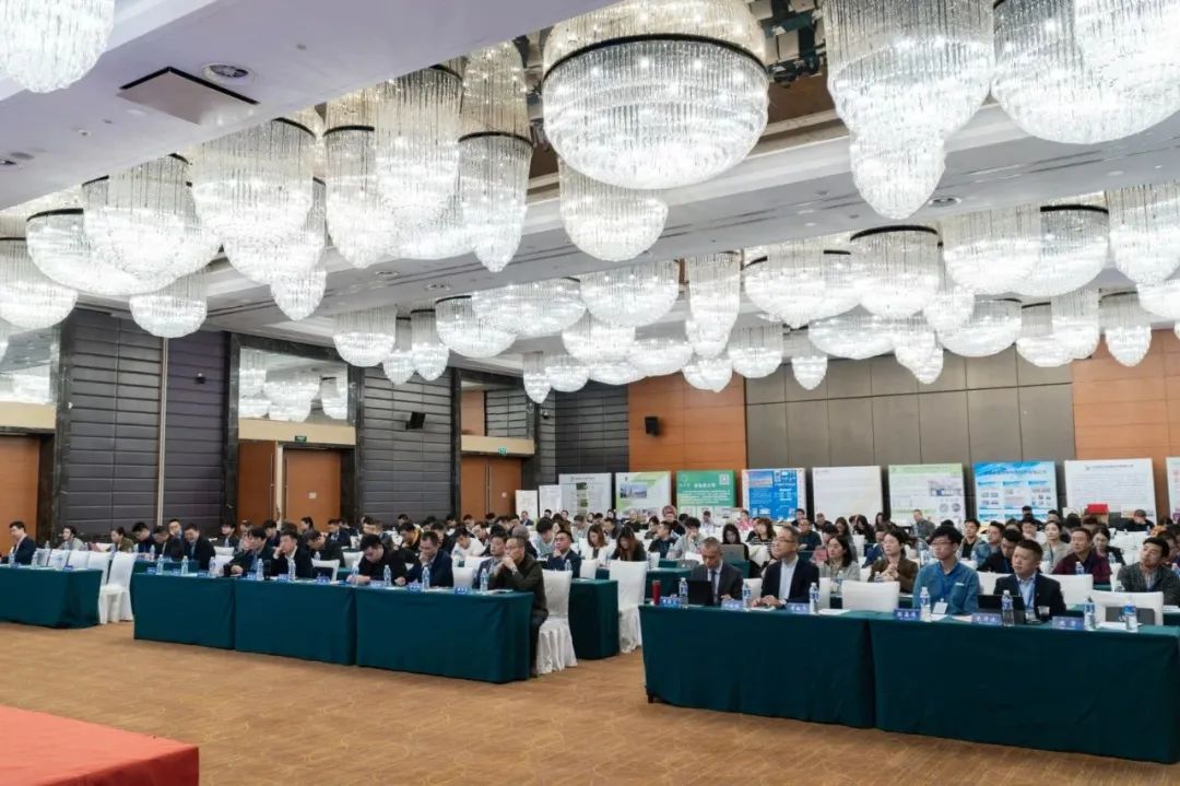 1730679090628562.jpg 3.jpg